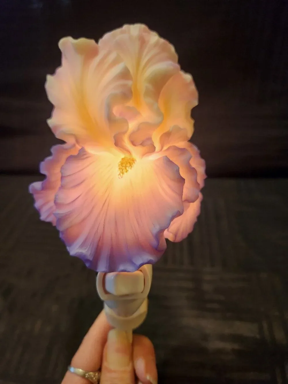 Ibis & Orchid Design Flowers of Light Iris Nightlight Hand Painted W/ Box Works
